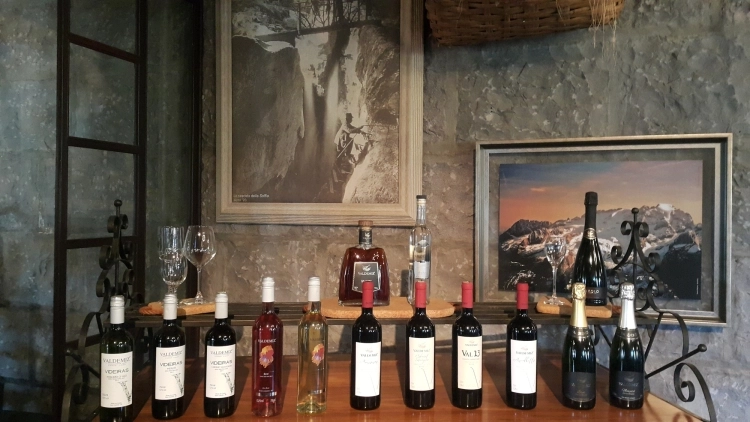 04/03: Quarta - Passo do Vinho Personalidade